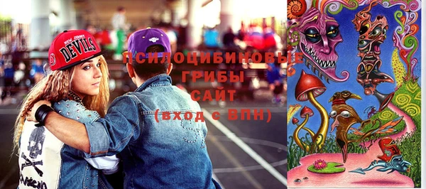 apvp Вязьма