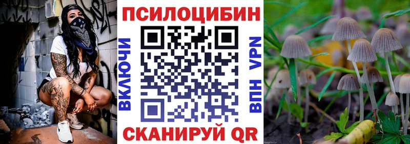 Купить где  Кедровый  Псилоцибиновые грибы мухоморы 