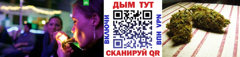 Купить закладки  Кедровый  Конопля Amnesia 